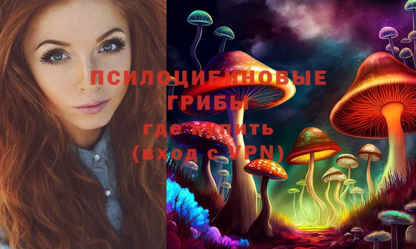 дживик Аркадак