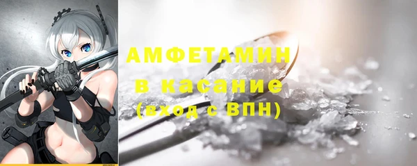 твердый Арсеньев