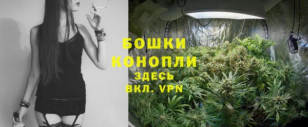 спайс Яровое